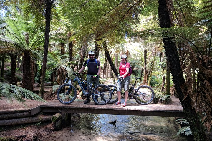 Explore NZ Nature by Ebike